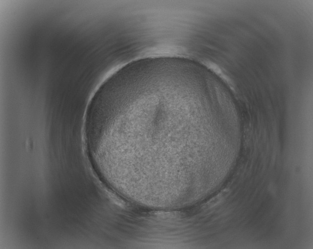 X0000073411469200608181042