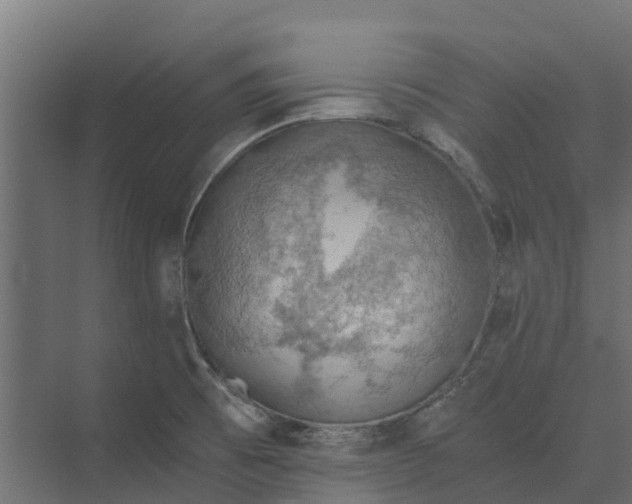 X0000073411473200608181042