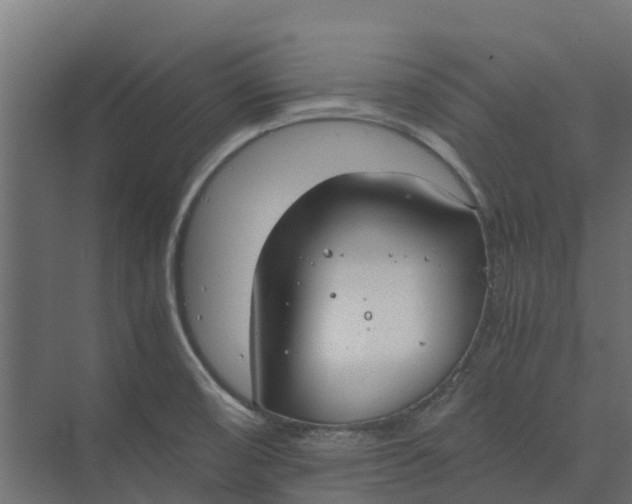 X0000073411474200608181042