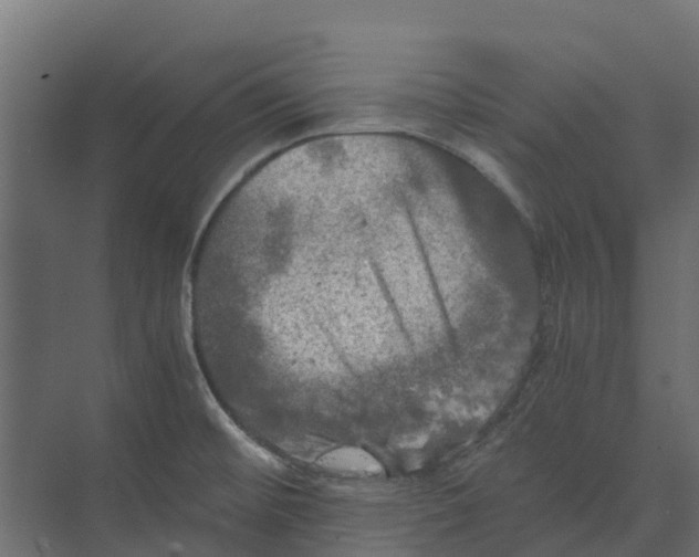 X0000073411476200608181042