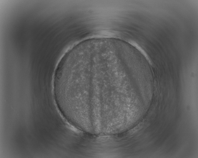 X0000073411477200608181042