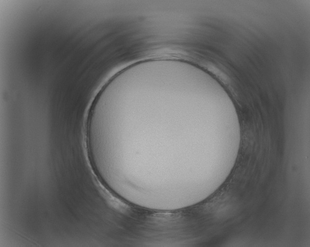 X0000073411478200608181042