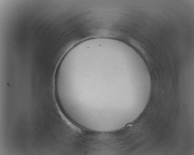 X0000073411479200608181042