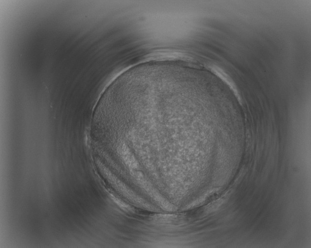 X0000073411481200608181042