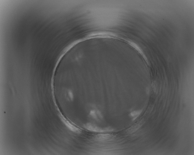 X0000073411482200608181042