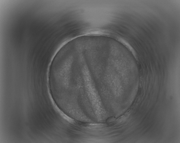 X0000073411483200608181042