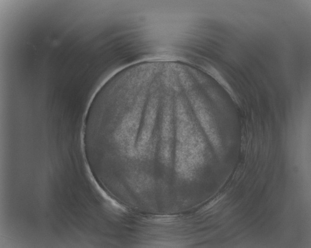 X0000073411484200608181042