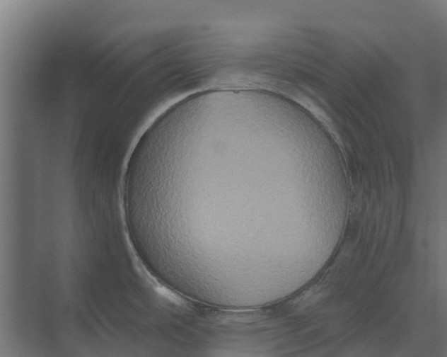 X0000073411486200608181042