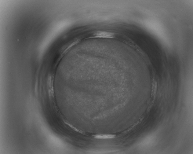 X0000073411487200608181042