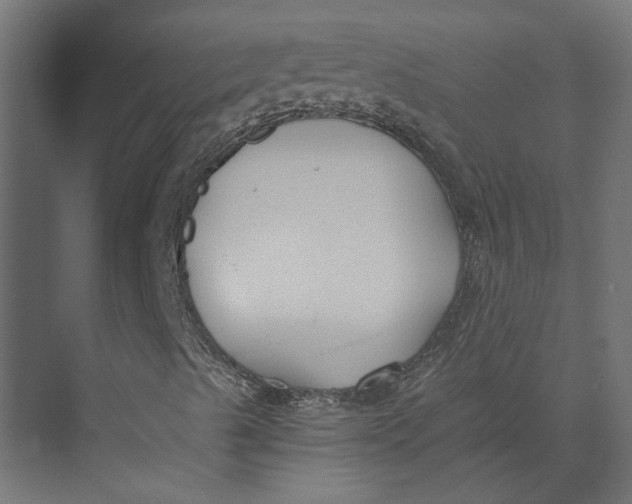 X0000073411489200608181041