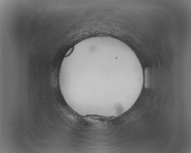 X0000073411491200608181041