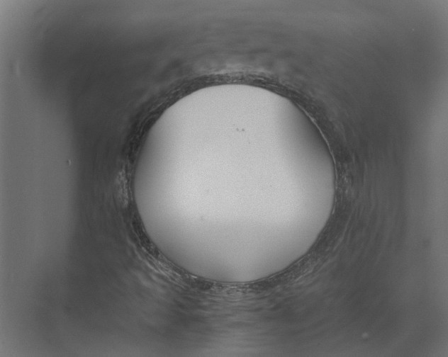 X0000073411493200608181041