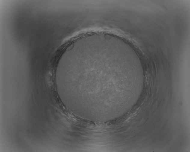 X0000073411494200608181041