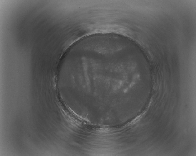 X0000073411497200608181041