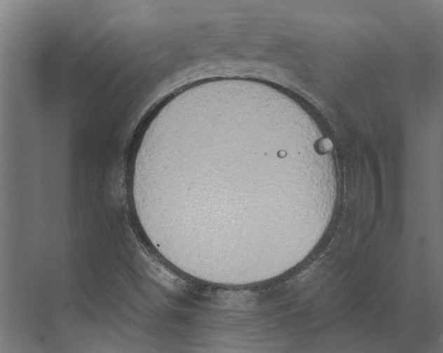 X0000073411498200608181041