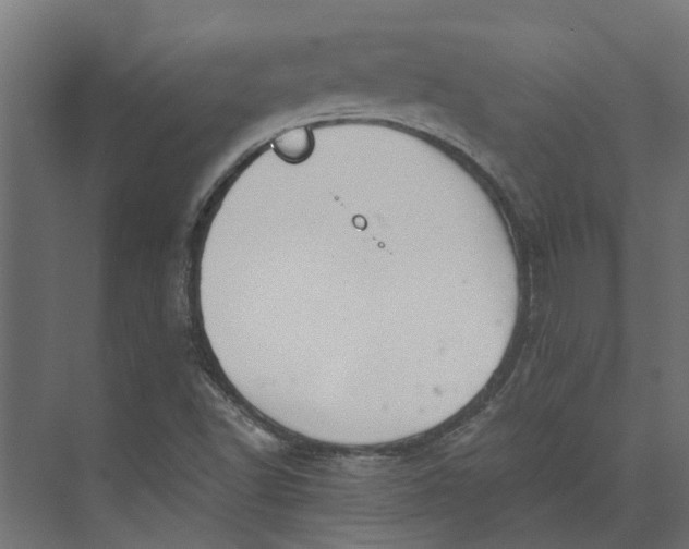 X0000073411502200608181041