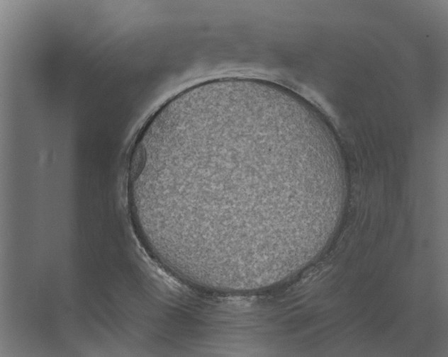 X0000073411504200608181042