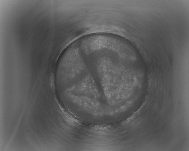 X0000073411505200608181042