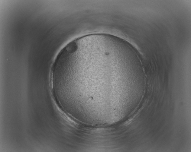 X0000073411510200608181042