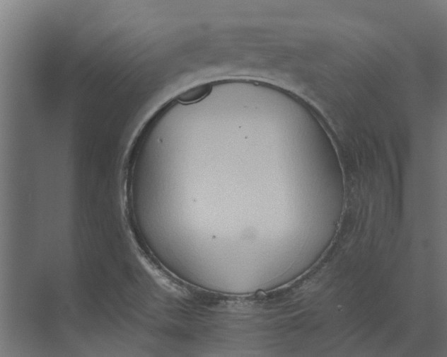 X0000073411511200608181042