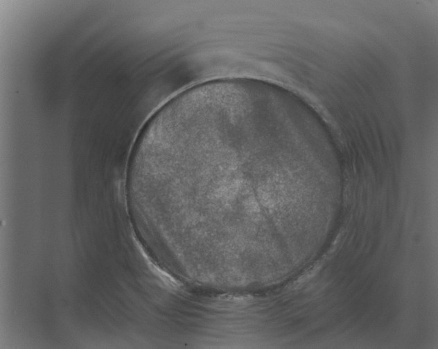 X0000073411513200608181042