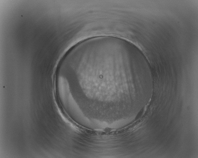 X0000073411515200608181042