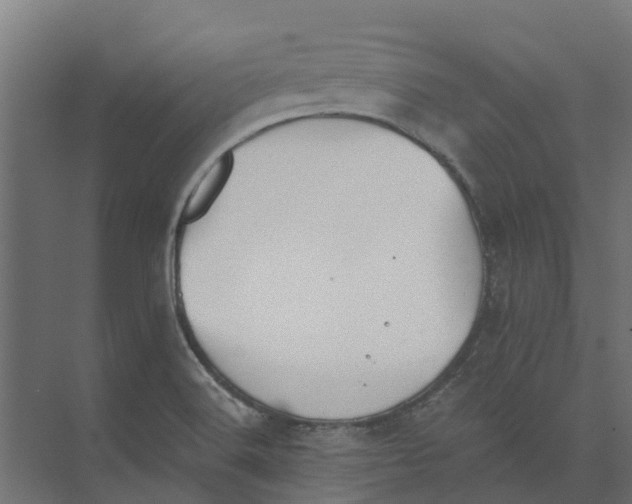 X0000073411516200608181042