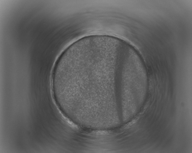 X0000073411517200608181042