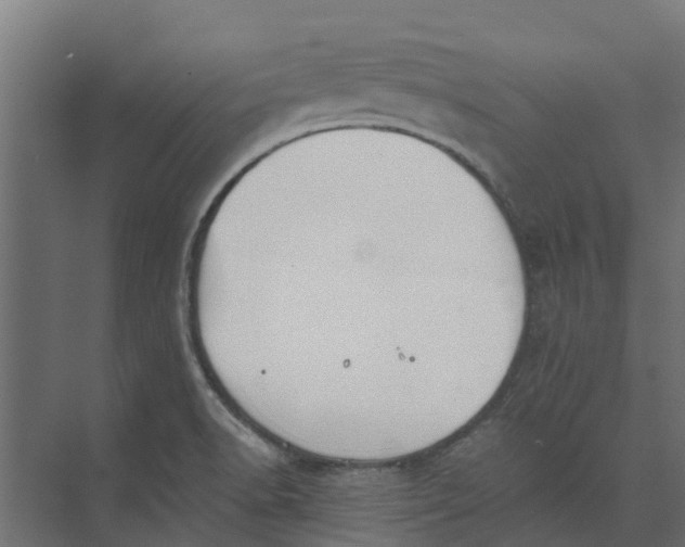 X0000073411518200608181042