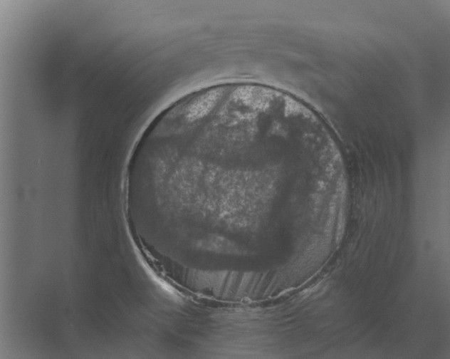 X0000073411519200608181042