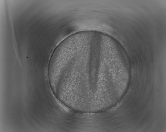 X0000073411521200608181042