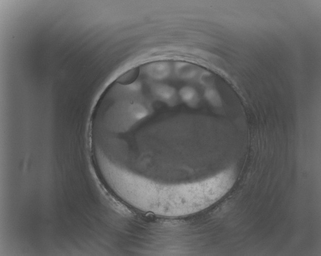 X0000073411522200608181042