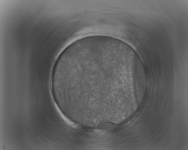 X0000073411523200608181042