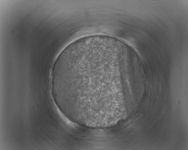 X0000073411524200608181042