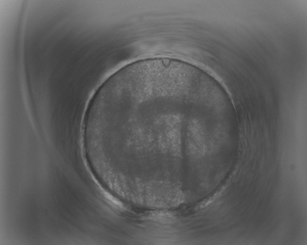 X0000073411525200608181042