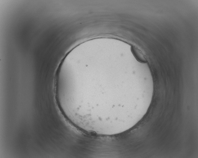 X0000073411526200608181042