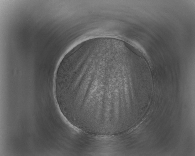 X0000073411528200608181042