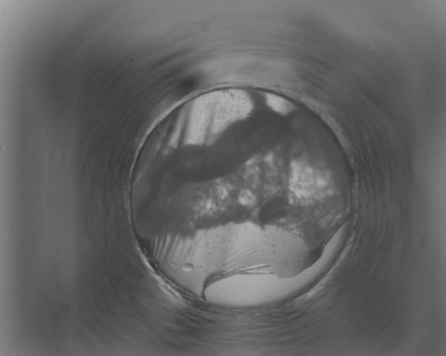 X0000073411529200608181042