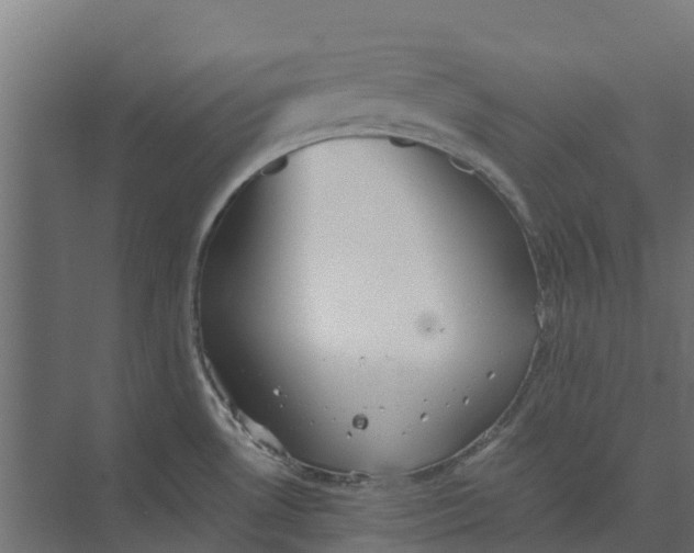 X0000073411530200608181042