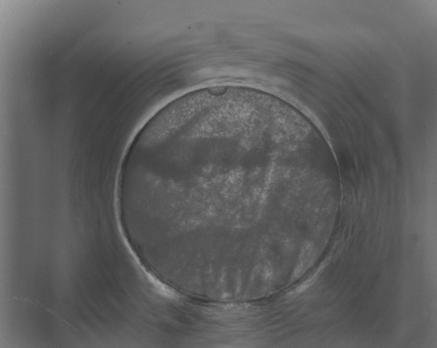 X0000073411533200608181042