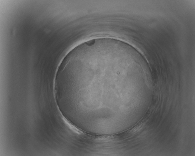 X0000073411535200608181042