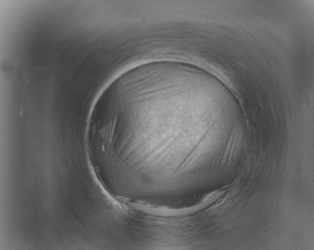 X0000073411536200608181042