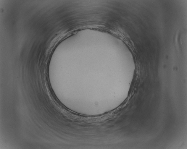 X0000073410001200608251536