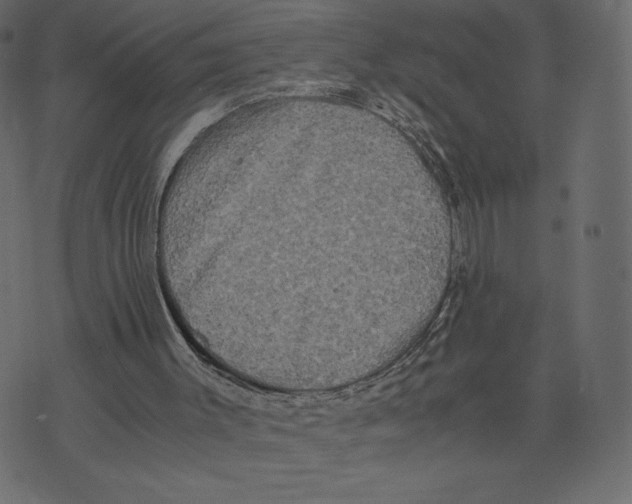 X0000073410003200608251536