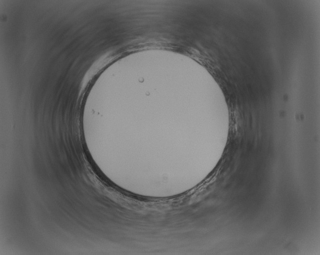 X0000073410004200608251536