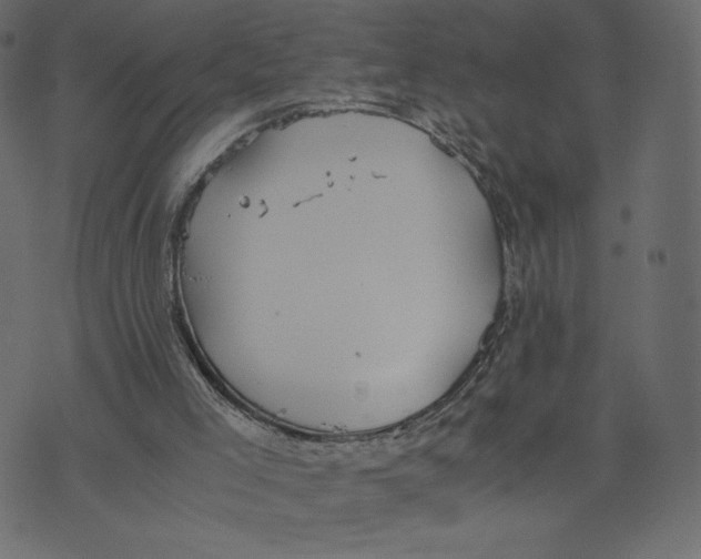 X0000073410005200608251536