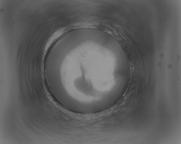 X0000073410006200608251536