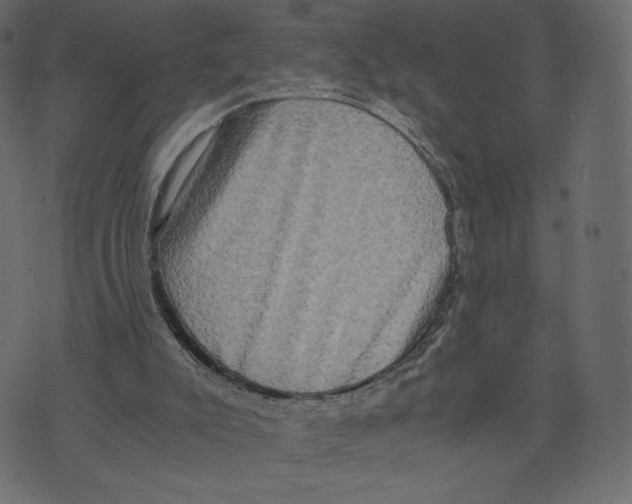 X0000073410007200608251536