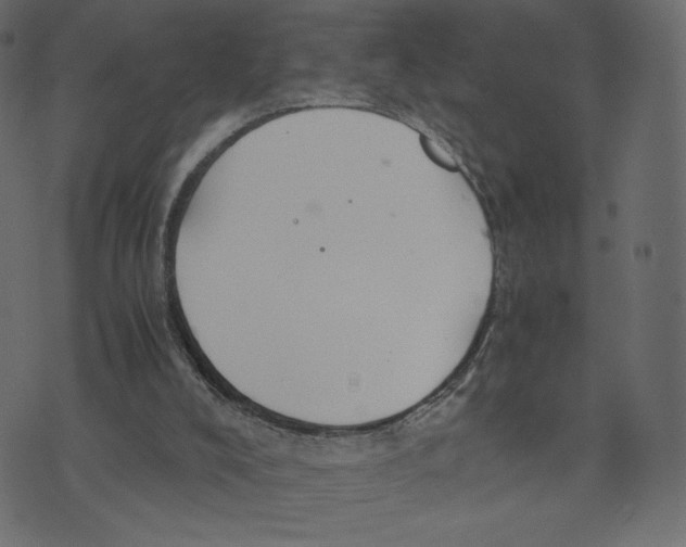 X0000073410008200608251536