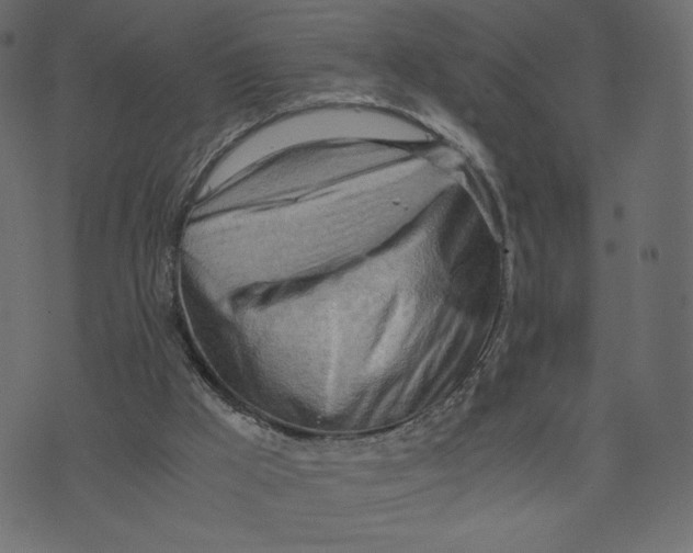 X0000073410009200608251536